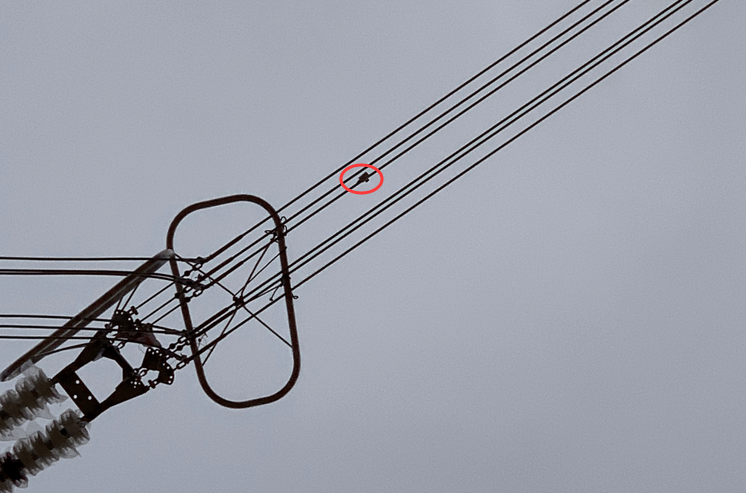 初心如磐，特力康高壓輸電線路導(dǎo)線溫度在線監(jiān)測系統(tǒng)